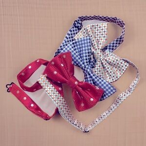 NWOT Set of 3 men’s pre-tied adjustable bow ties